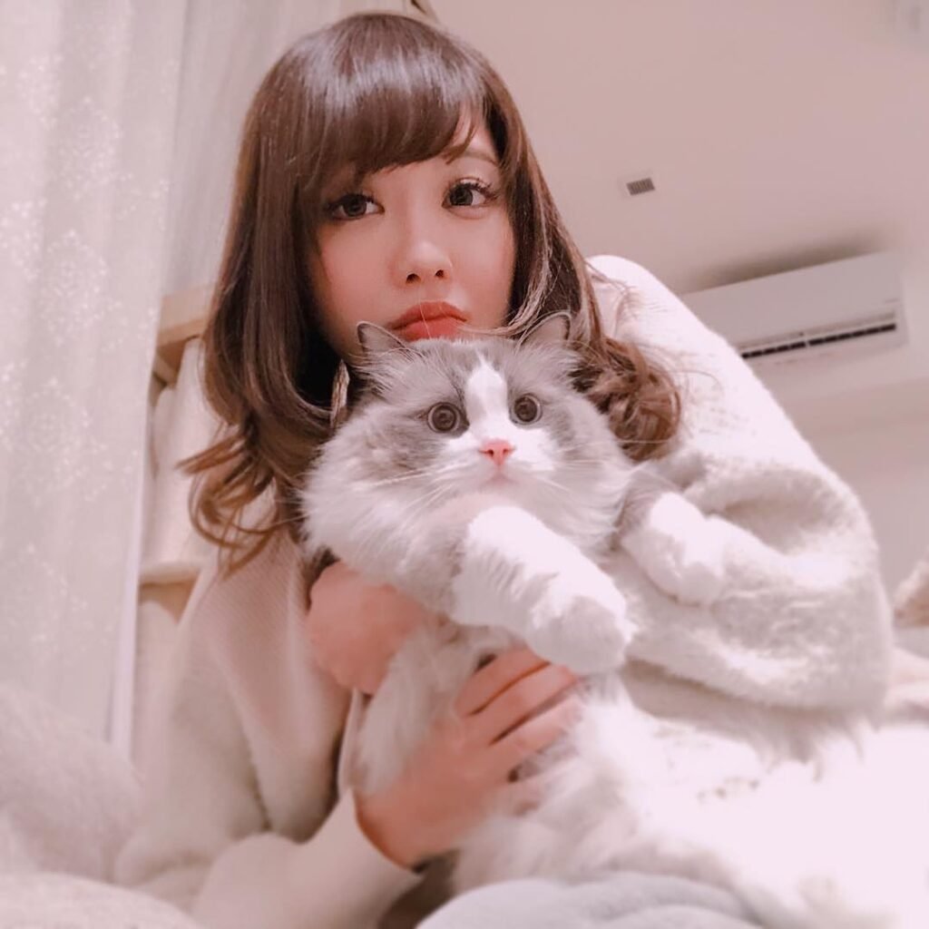 안자이 라라 반려묘